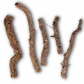 40cm Cork Oak Branch for reptiles